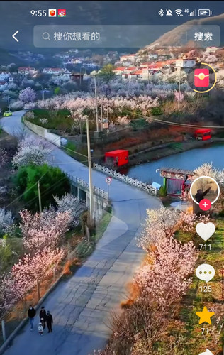 Screenshot 20250410 095529.jpg