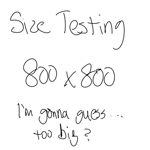 800 test.jpg