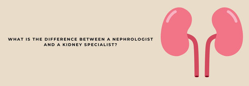 What is the difference between a nephrologist and a kidney specialist .jpg