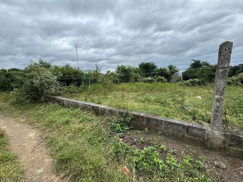 489948695 1222410146339373 2554127823022842515 n.jpg