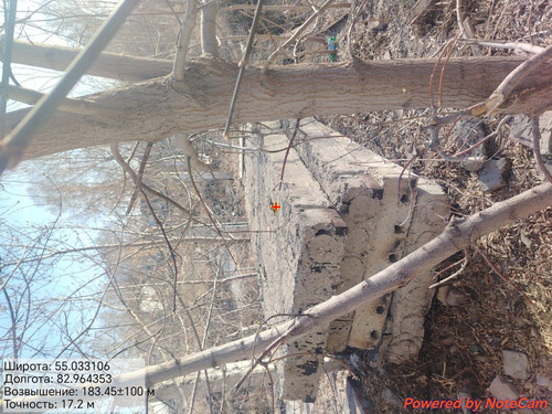 1000176872.jpg