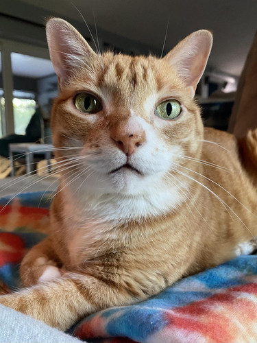 486540828 1284686756350326 2561124819818008921 n.jpg