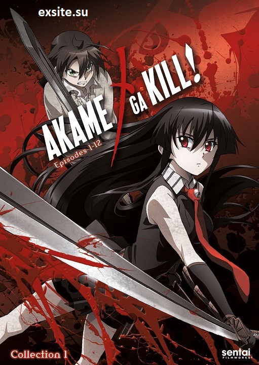 Akame ga Kill! (Sezon 1) (2014) PL.WEB-DL.720p.x264-zyl / Napisy PL