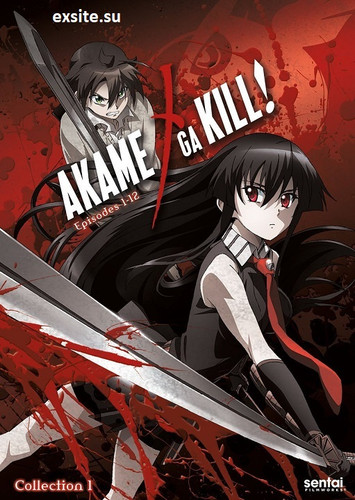 Akame ga Kill!.jpg