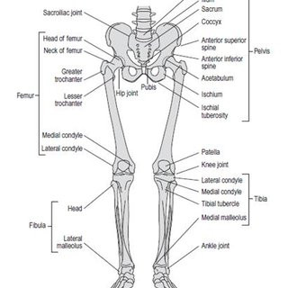 12f228a8c488.jpg
