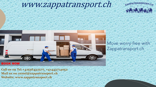 ZappaTopPackers 6.png