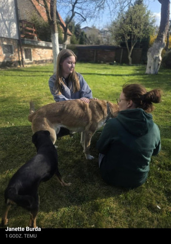 GoHvKszXgAAUrbj.jpg