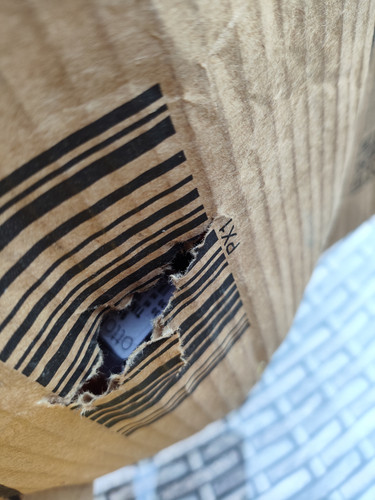 IMG 20250409 175254.jpg