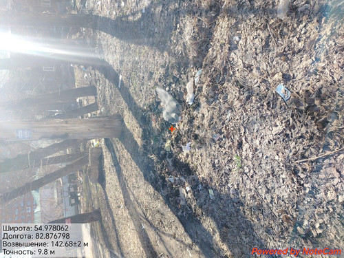 1000176395.jpg