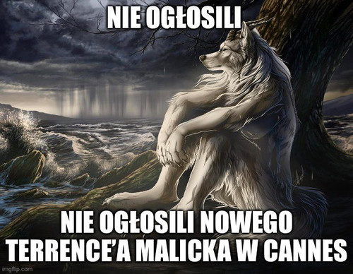 GoKmJBmWYAApCZW.jpg