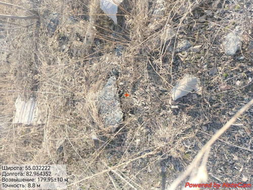 1000176888.jpg
