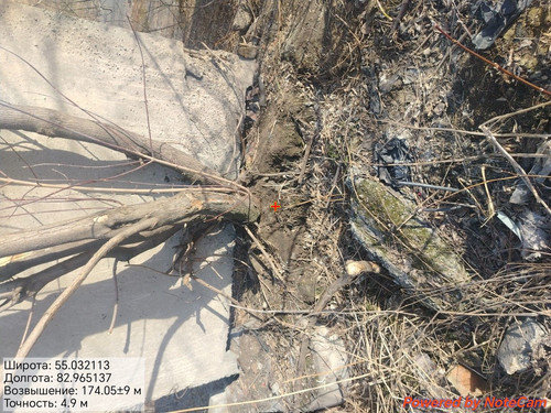 1000176893.jpg