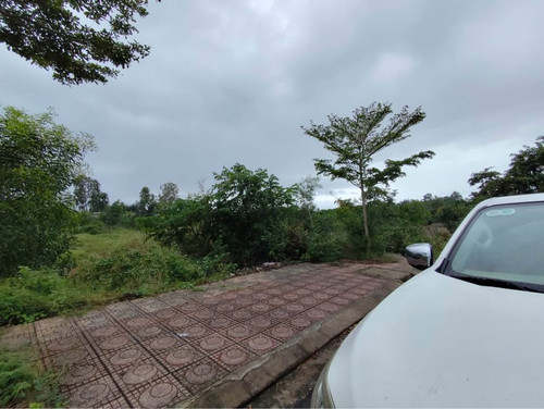 490583177 1222373966342991 1294943910022418841 n.jpg