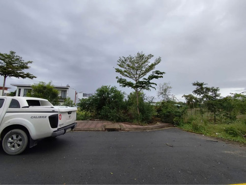 489624372 1222373979676323 376347854809497409 n.jpg