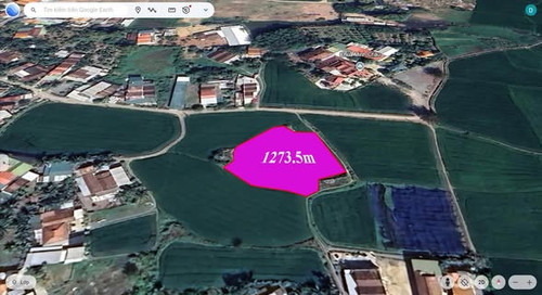 490340655 1222359473011107 74395899990962803 n.jpg