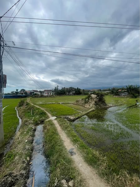 490077071 1222359476344440 4845653354696941912 n.jpg