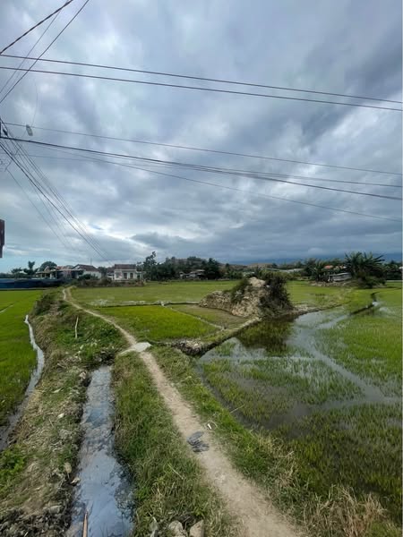 490549485 1222359483011106 4150775455250312152 n.jpg