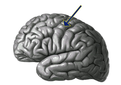 8b4d9221a262.png