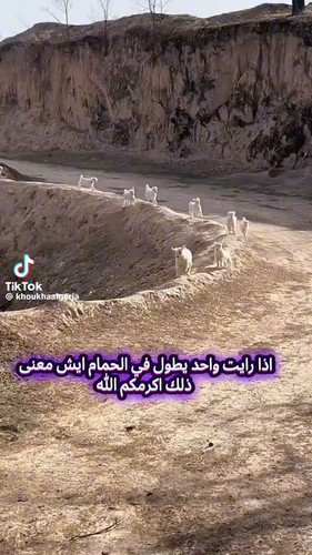 K3kZIGsb2sGFYb A.jpg