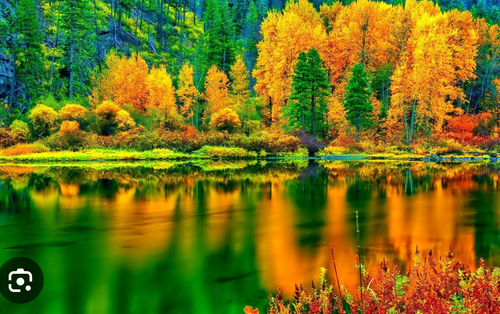 Screenshot 2025 04 10 083606.png