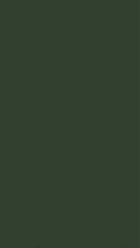 110973e13e9c2ae4d1cec3684e98a4a7.jpg