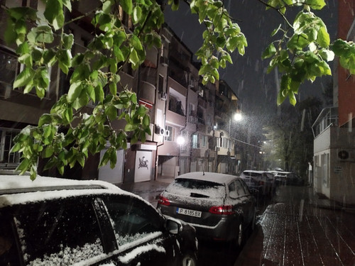 IMG 20250410 211958.jpg