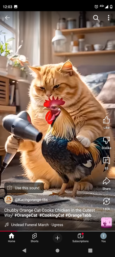 Screenshot 20250411 000315.png