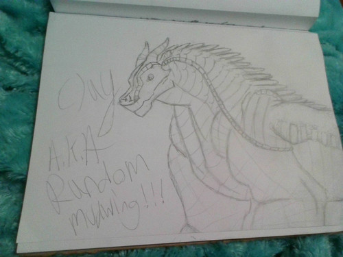 IMG 20201017 131309.jpg