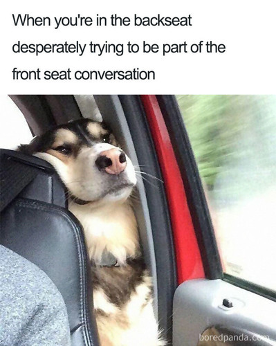 funny travel memes 211 5c924b91943ea 700.jpg