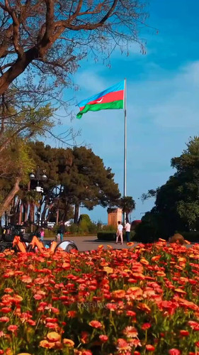 PDEW PY0whEoLdJt.jpg