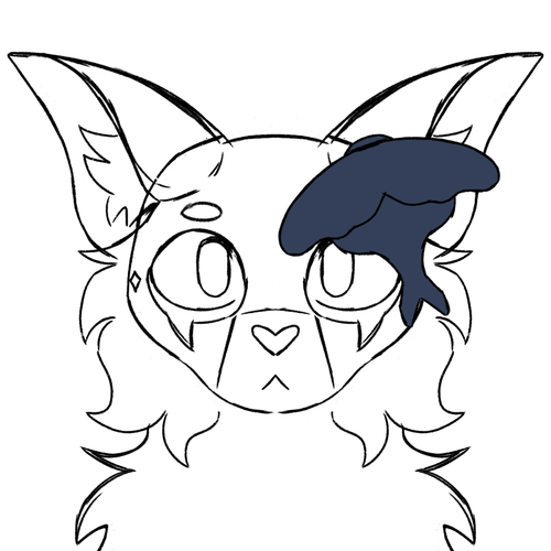 IMG 1582.png