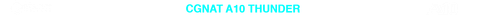CGNAT 10 TRANSPARENTE.png