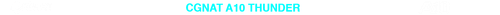 CGNAT 10 TRANSPARENTE.png
