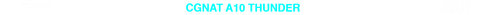 CGNAT 10 TRANSPARENTE.png