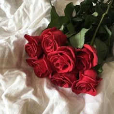 d433d60d6bfce84789431d6d71fcdba6.jpg