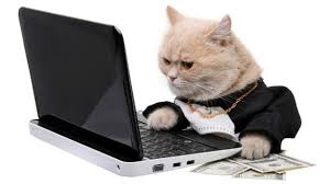 kitty logo.jpg