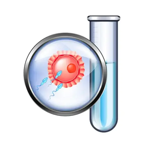 1718286058Different Stages Of An IVF Treatment.webp
