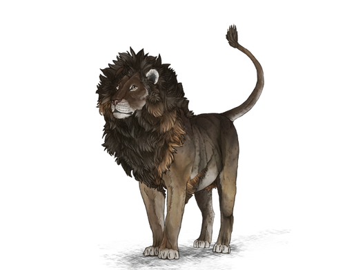 Lion CJD DONE trying.png