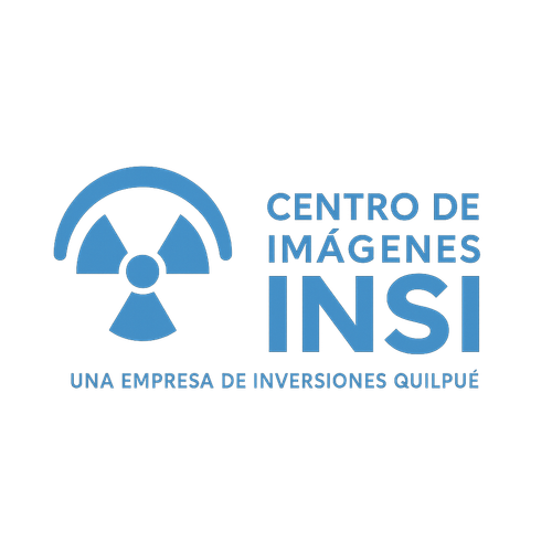 LOGO INSI.png