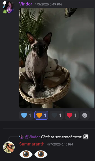 Discord BapPzoE76i.png