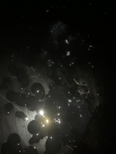 ٢٠٢٥٠٤١٠ ١٧٣٩٢٠.jpg