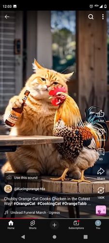 Screenshot 20250411 000320.png