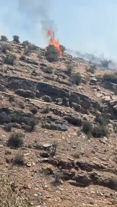 VRh5neMq TUsW5fw.jpg