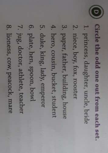 photo 2025 04 09 12 39 27 7491292123870789636.jpg