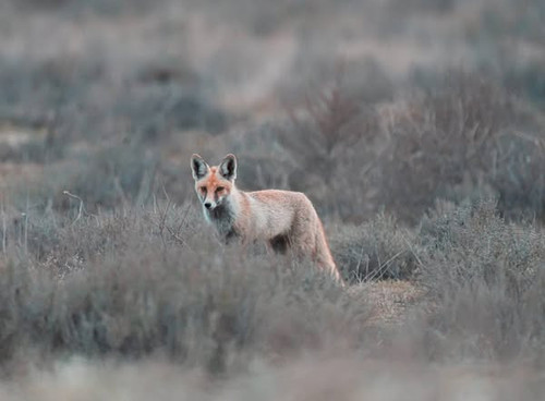 489423401 702711228774561 5070494762178443670 n.jpg?stp=dst jpg s600x600 tt6& nc cat=106&ccb=1 7& nc.jpg