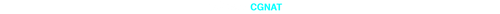TRAFEGO CGNAT.png