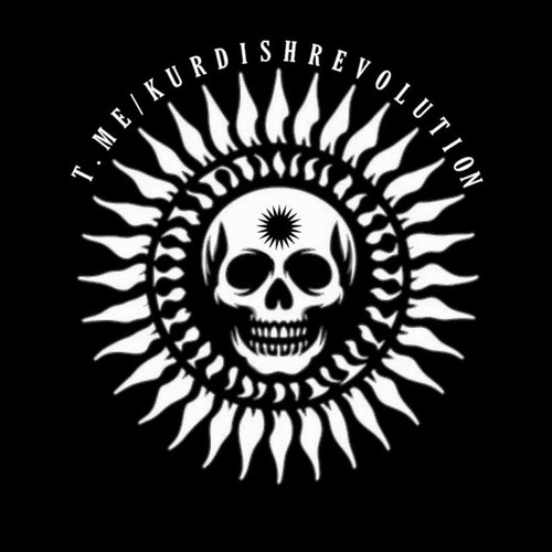 5364143312522576575 1.jpg