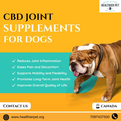 CBD Joint Supplements For Dogs.jpg