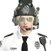 c2d68c83c08a.png