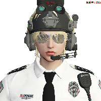 9adc93e8856a.png
